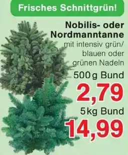 Wiglo Wunderland Nobilis- oder Nordmanntanne Angebot