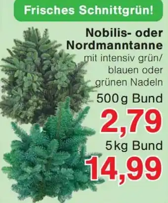 Wiglo Wunderland Nobilis- oder Nordmanntanne Angebot