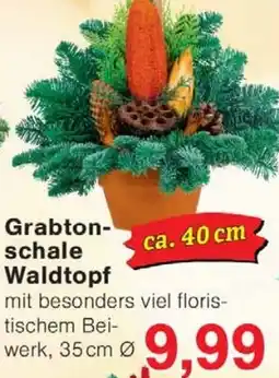 Wiglo Wunderland Grabtonschale Waldtopf Angebot