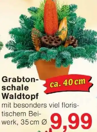 Wiglo Wunderland Grabtonschale Waldtopf Angebot