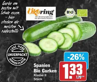 AEZ Spanien Bio Gurken Angebot