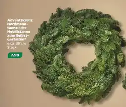 NETTO Adventskranz Nordmanntanne oder Nobilistanne Angebot