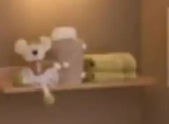 XXXLutz Paidi Wandregal Malio Angebot