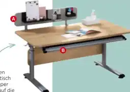 XXXLutz Paidi Jugendschreibtisch Diego 120 Angebot