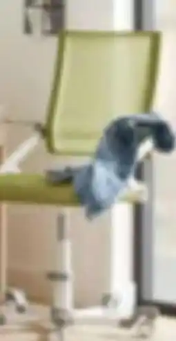 XXXLutz Paidi Jugenddrehstuhl Tio Angebot