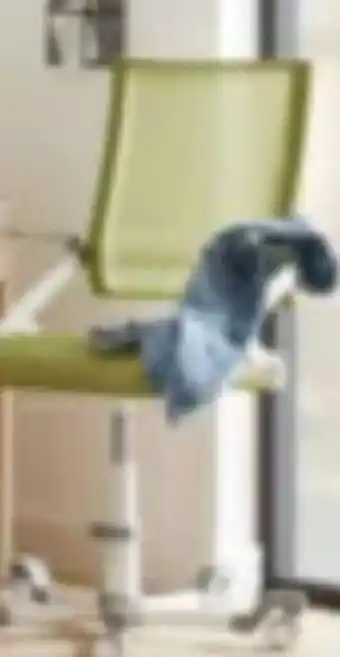 XXXLutz Paidi Jugenddrehstuhl Tio Angebot