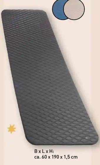 Aldi Nord Crane Sportmatte Angebot