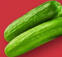 Aldi Nord Mini Gurke Angebot