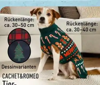 Aldi Nord Cachet & Romeo Tier Weihnachts­pullover Angebot