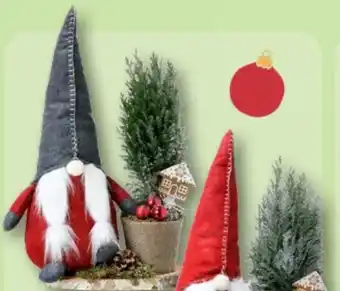 Aldi Nord Gardenline Weihnachtswichtel Angebot