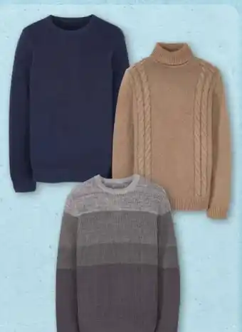 Aldi Nord Up2Fashion Herren Grobstrickpullover Angebot