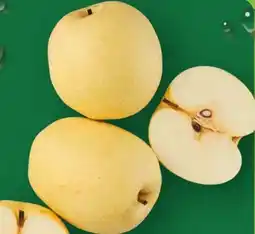 Aldi Nord Nashi-Birnen Angebot