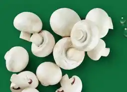 Aldi Nord Champignons Angebot