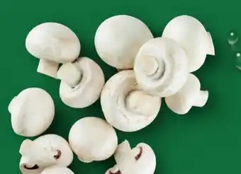 Aldi Nord Champignons Angebot