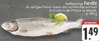 Edeka Rotfleischige Forelle Angebot