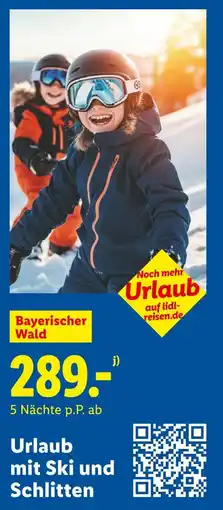 Lidl Lidl reisen urlaub mit ski und schlitten Angebot