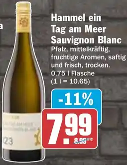AEZ Hammel ein Tag am Meer Sauvignon Blanc Angebot