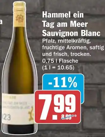 AEZ Hammel ein Tag am Meer Sauvignon Blanc Angebot