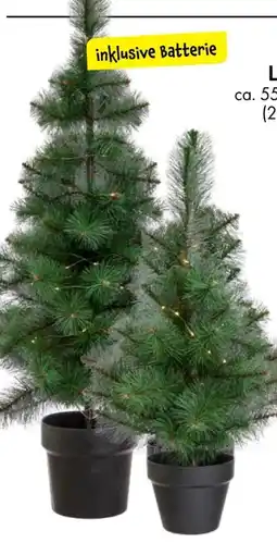 TEDi LED-Tannenbaum Angebot