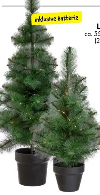 TEDi LED-Tannenbaum Angebot