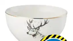 TEDi Müslischalen Angebot