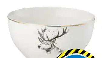 TEDi Müslischalen Angebot