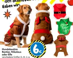 TEDi Hundekostüm Angebot