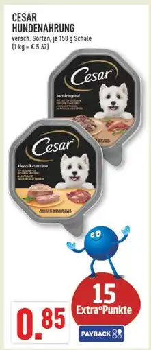 Marktkauf Cesar landragout Angebot