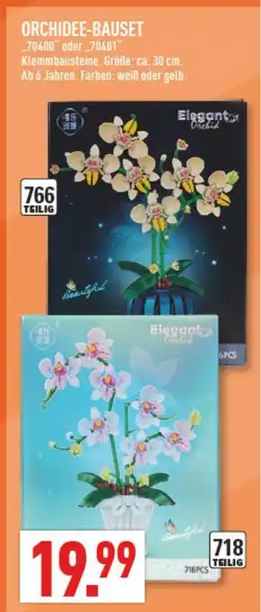 Marktkauf Orchidee-bauset 70400 Angebot