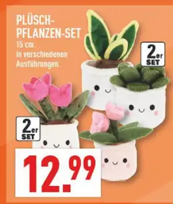 Marktkauf Plüsch-pflanzen-set Angebot