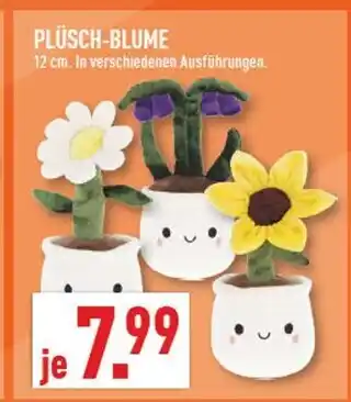 Marktkauf Plüsch-blume Angebot