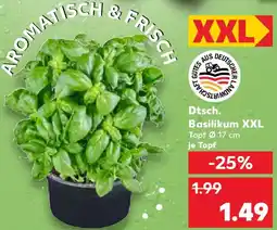 Kaufland Dtsch. Basilikum XXL Angebot