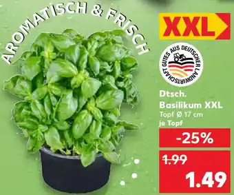Kaufland Dtsch. Basilikum XXL Angebot