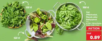 Kaufland Ital. Pflücksalat, Rucola oder Babyspinat Angebot