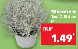 Kaufland Silberdraht Angebot