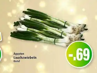 Markant ägypten Lauchzwiebeln Angebot