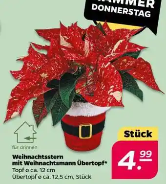 NETTO Weihnachtsstern mit Weihnachtsmann Übertopf Angebot