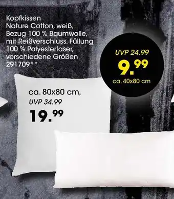 Möbel Martin Kopfkissen nature cotton Angebot