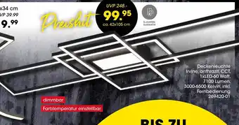 Möbel Martin Deckenleuchte irvine Angebot