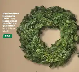 NETTO Adventskranz nordmanntanne oder nobilistanne zum selbstgestalten Angebot