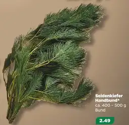 NETTO Seidenkiefer handbund Angebot