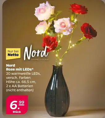 NETTO Nord rose mit leds Angebot