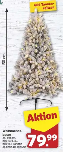 Famila Nord West Weihnachtsbaum Angebot