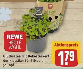 REWE Rewe Beste Wahl Glücksklee Mit Dekostecker Angebot