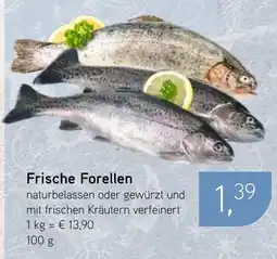 Dornseifer Frische Forellen Angebot