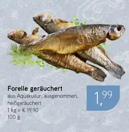 Dornseifer Forelle geräuchert Angebot