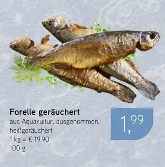 Dornseifer Forelle geräuchert Angebot