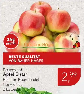 Dornseifer Apfel Elstar Angebot