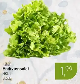 Dornseifer Endiviensalat Angebot
