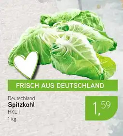 Dornseifer Spitzkohl HKLI Angebot